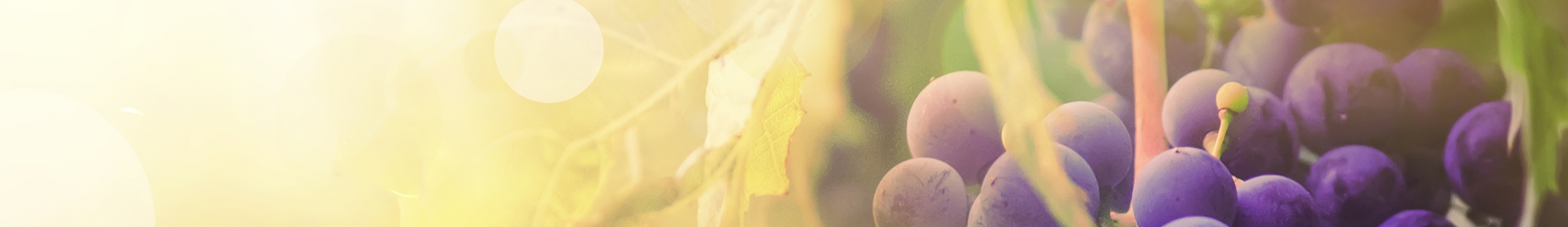 Χημικά - Αντιδραστήρια