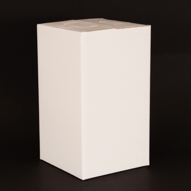 10LT ΛΕΥΚΟ ΑΤΥΠΩΤΟ